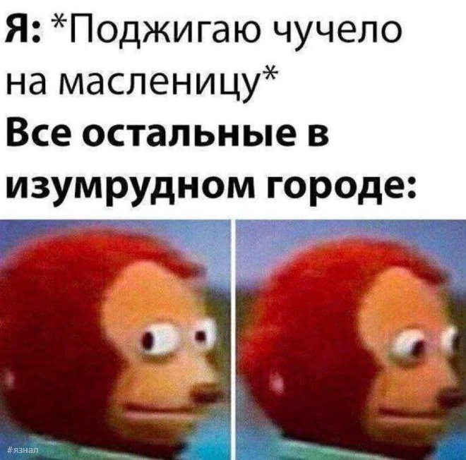 Смешные картинки в мемах