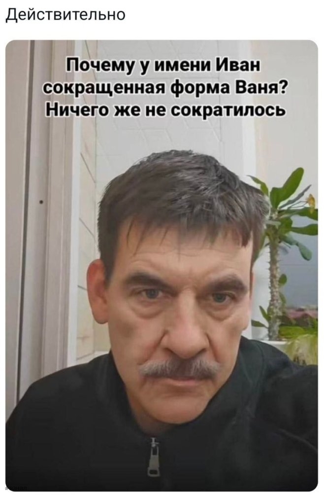 Смешные картинки в мемах