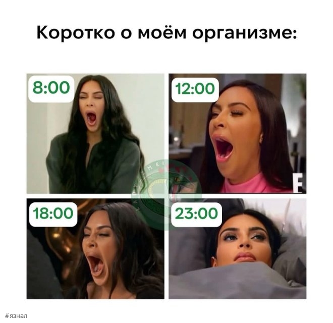 Смешные картинки в мемах