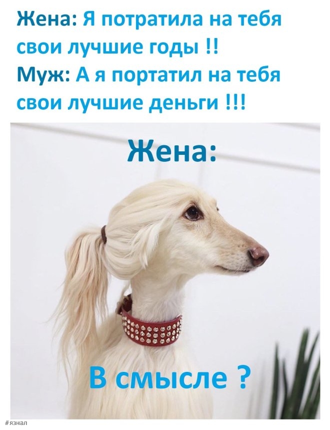 Смешные картинки в мемах