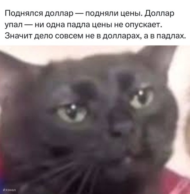 Смешные мемы