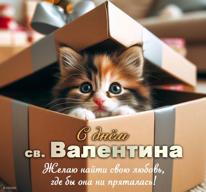 идеальная открытка для Дня Святого Валентина