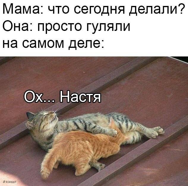 Пошлые приколы в картинках с надписями