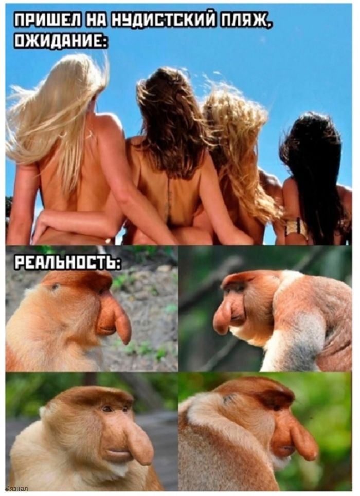 Отборный юмор и приколы