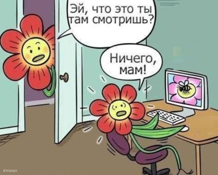 Отборный юмор и приколы