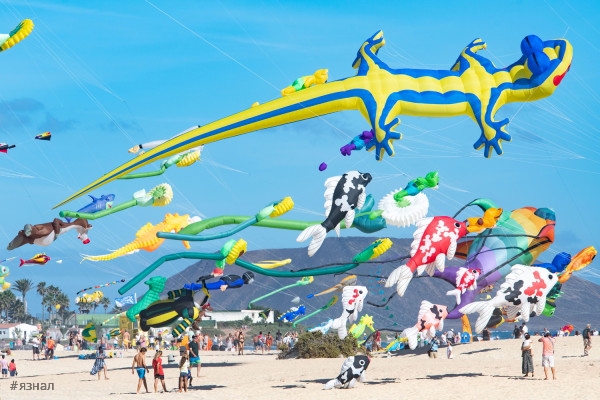 Позитивные фото для хорошего настроения