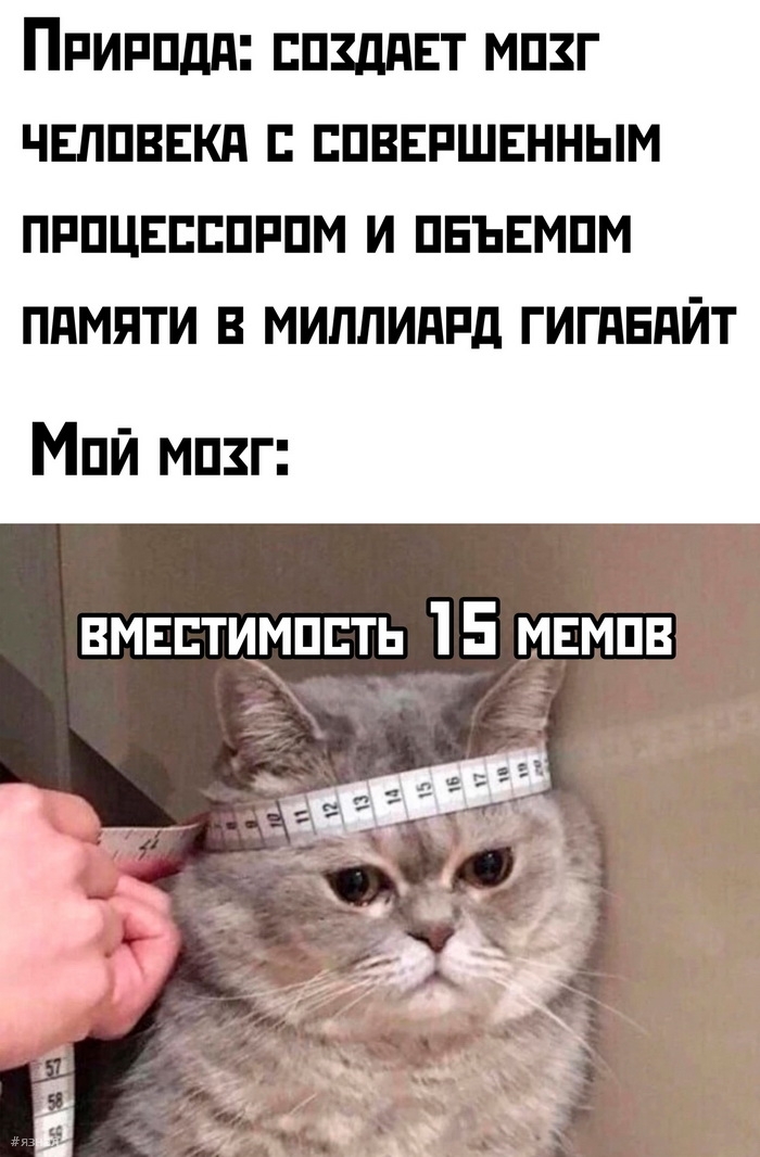 Веселые картинки