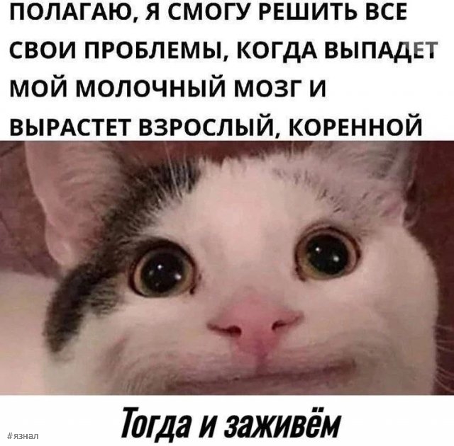 Добрый день улыбайтесь мем Смешные мемы и забавные картинки для поднятия настроения