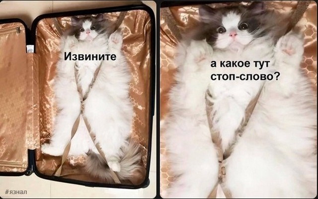 Веселые картинки