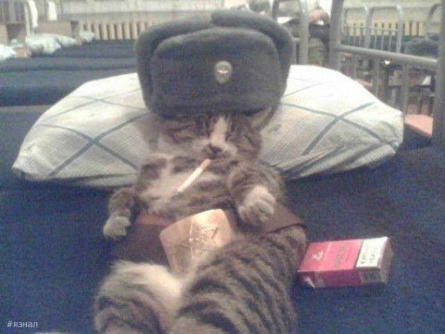 Смешные фото приколы из России