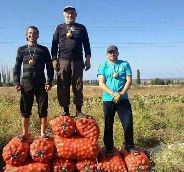 Смешные фото приколы из России