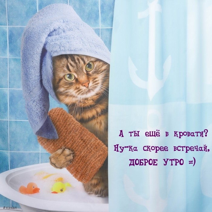 С добрым утром