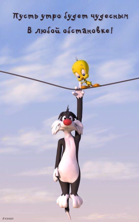 С добрым утром