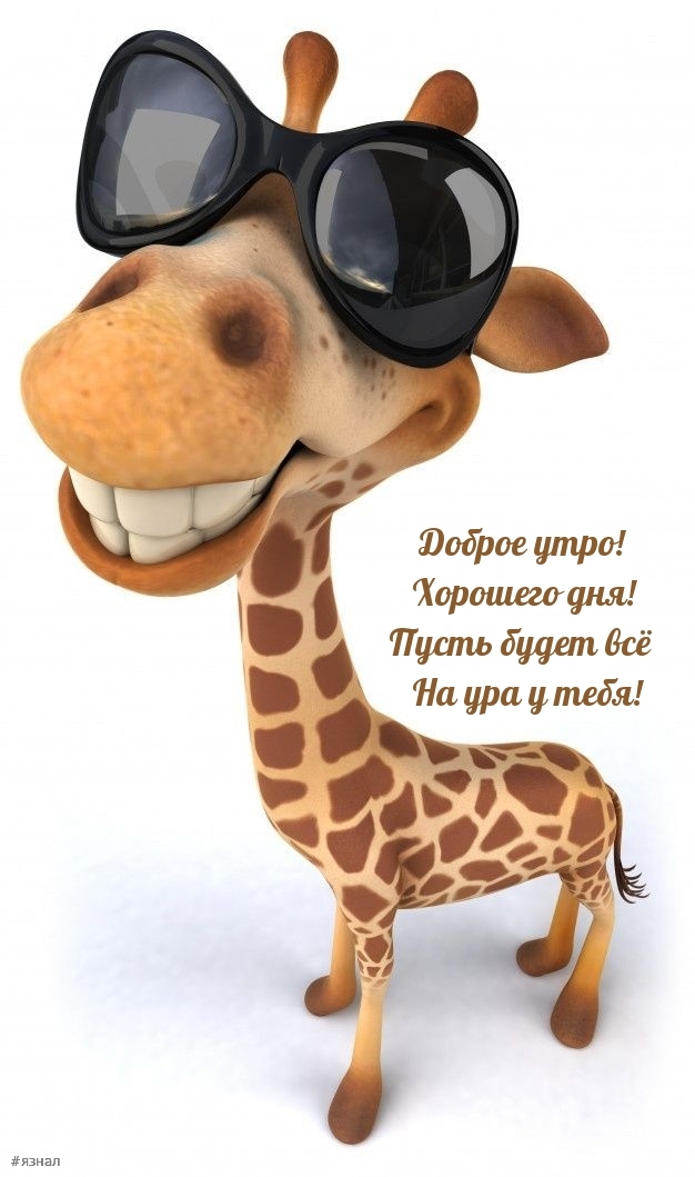 С добрым утром