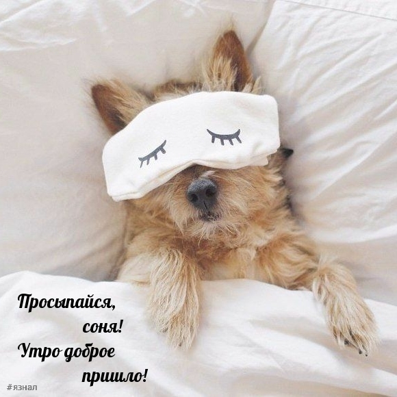 С добрым утром