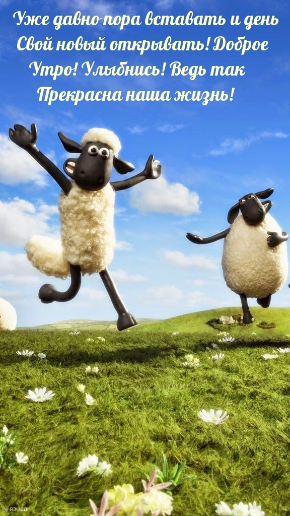 С добрым утром