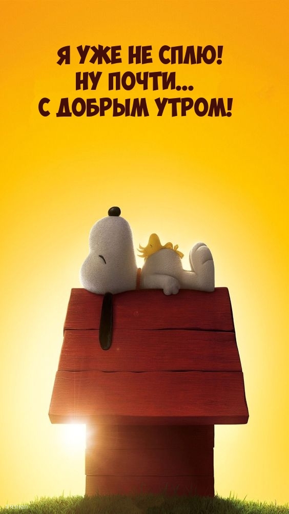 С добрым утром