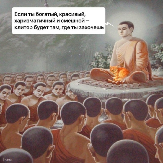 Самые смешные мемы и картинки