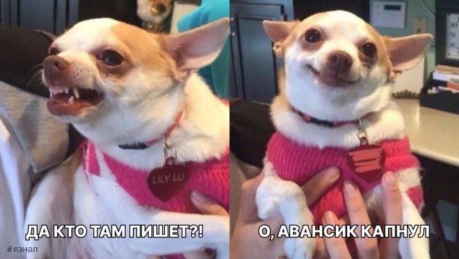 Смех для всех