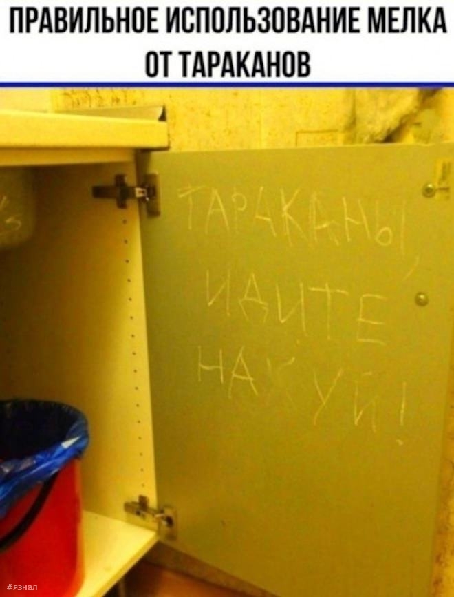 Смех для всех