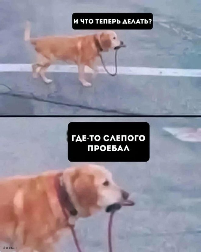 Почему мемы стали не смешными