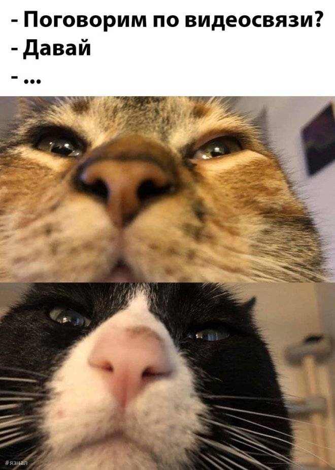 Смех для всех