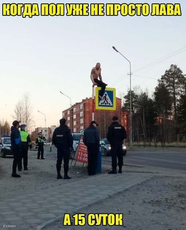 Самые смешные приколы