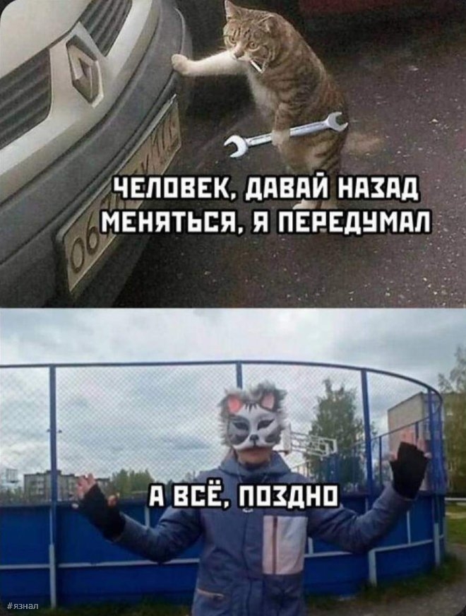 Самые смешные приколы