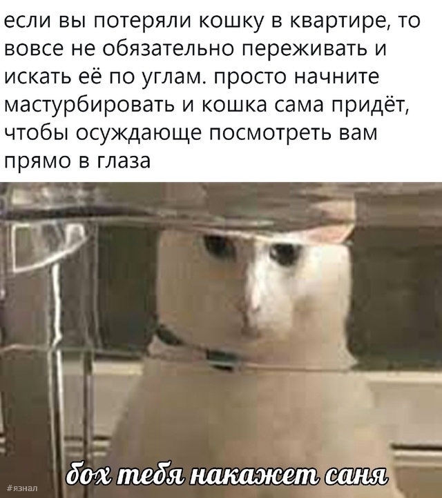 Отборный юмор и шутки в мемах