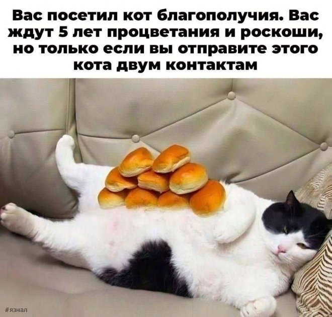 Отборный юмор и шутки в мемах