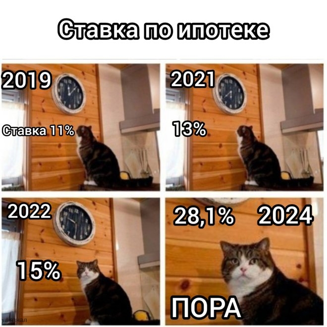 Отборный юмор и шутки в мемах