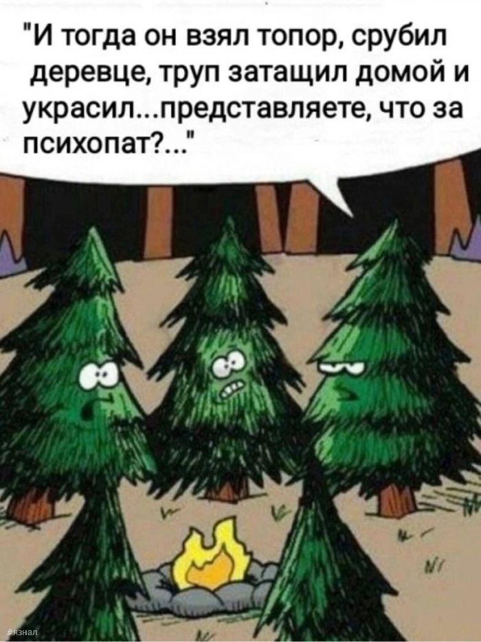 Топ мемы