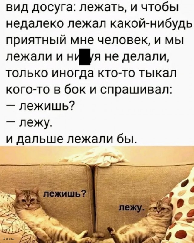 Топ мемы