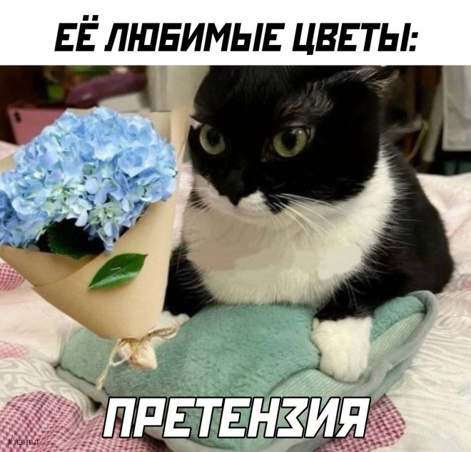 Самые смешные мемы за 14.01 25