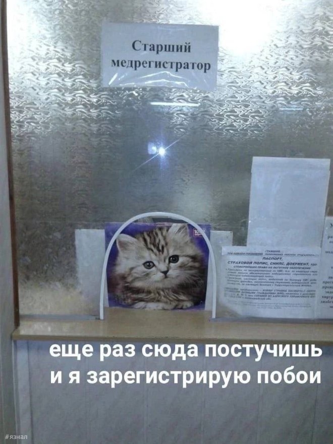 Смешные мемы