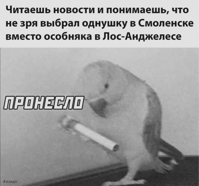 Смешные приколы из интернета