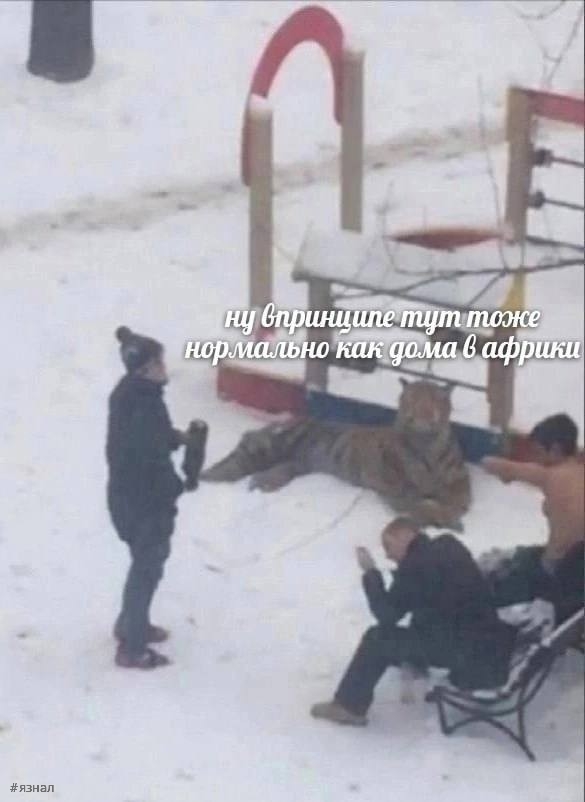 Смешные приколы из интернета