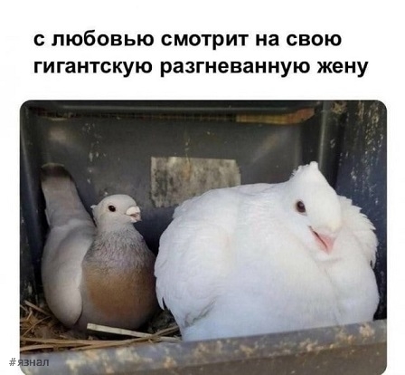 Смешные приколы из интернета