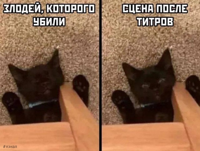 Смешные приколы из интернета