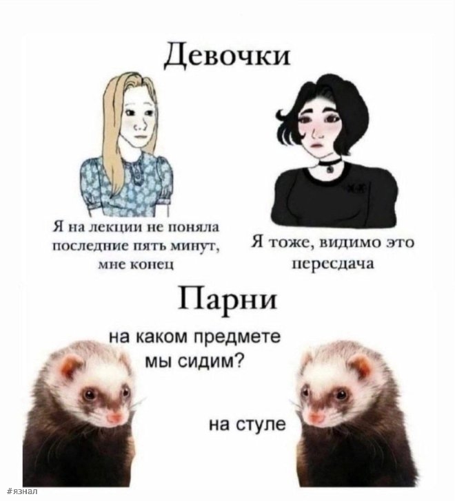 Смешные мемы и приколы