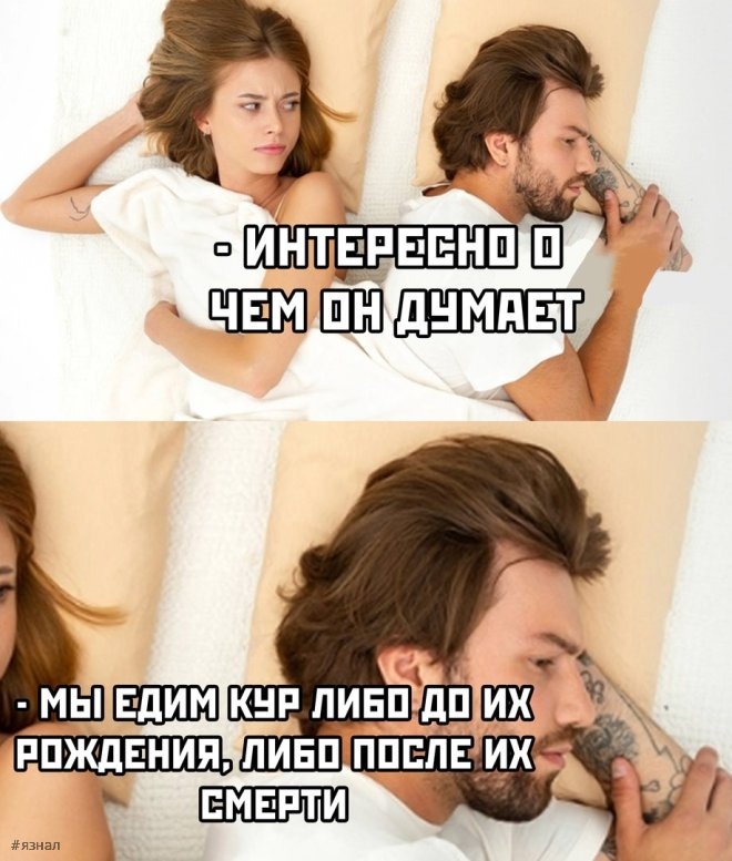 Смешные мемы и приколы