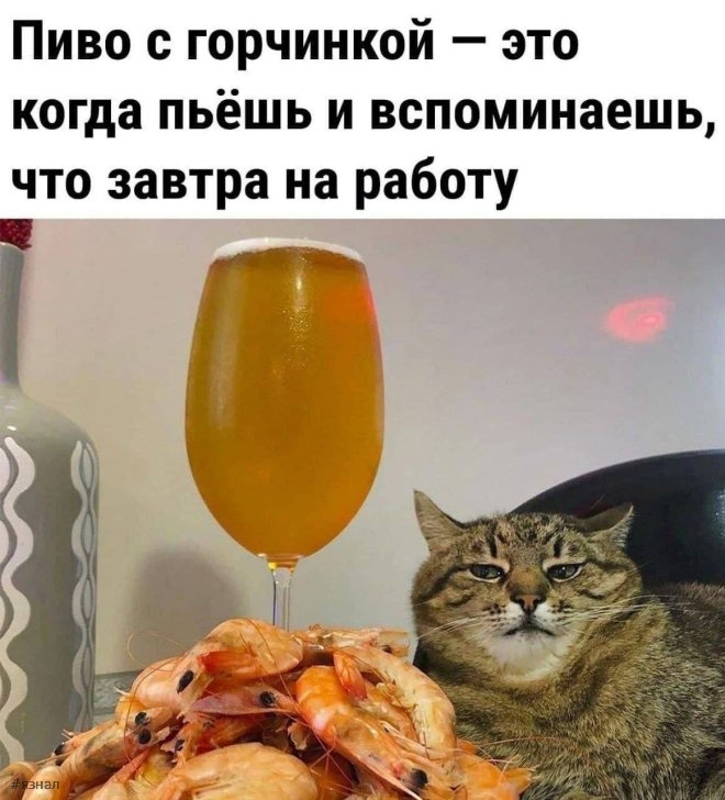 Смешные мемы и приколы