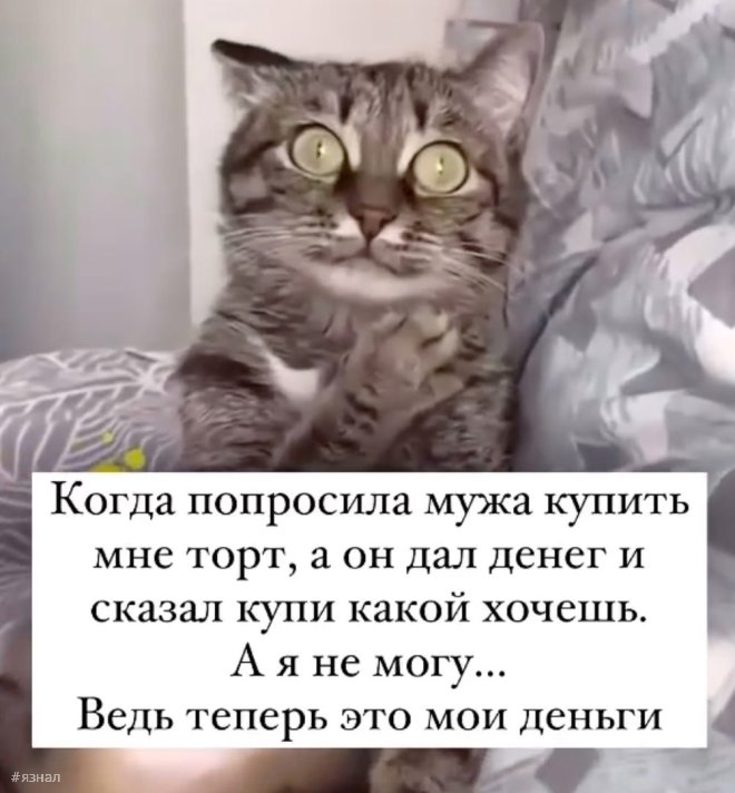 Смешные мемы и приколы