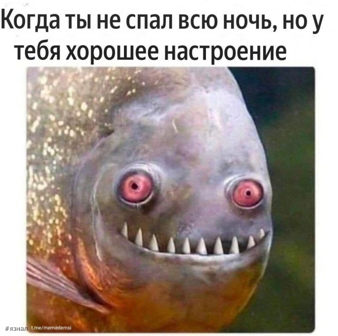 Смешные мемы и приколы