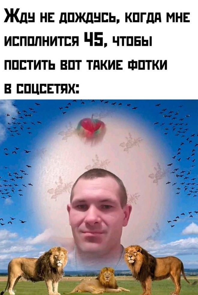 Отборный юмор