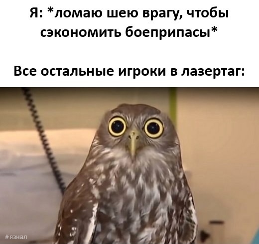 Смешные приколы в мемах