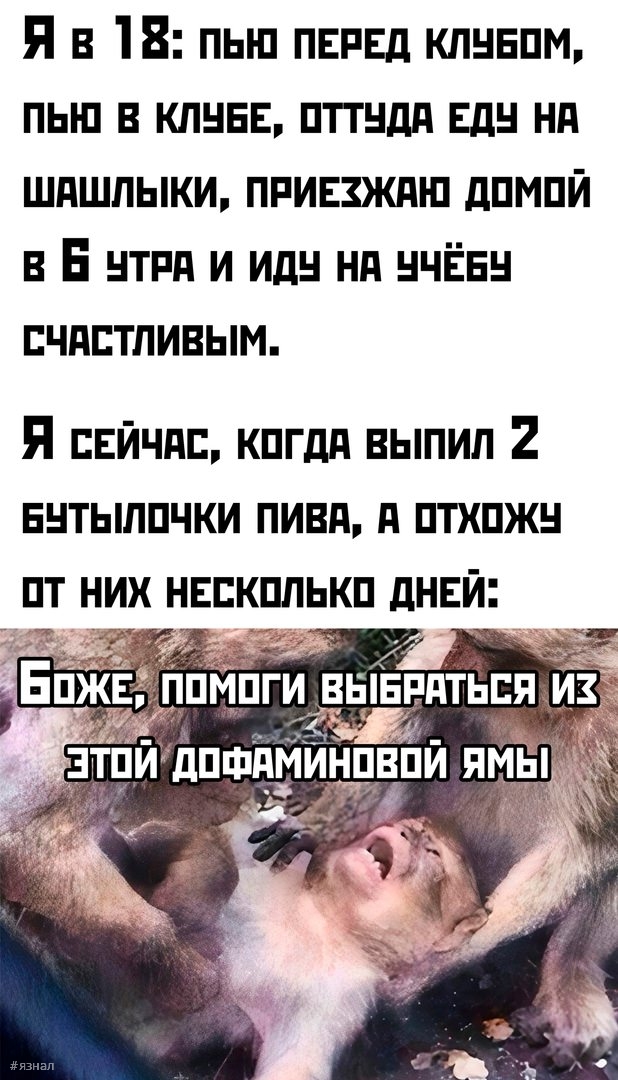Смешные приколы в мемах