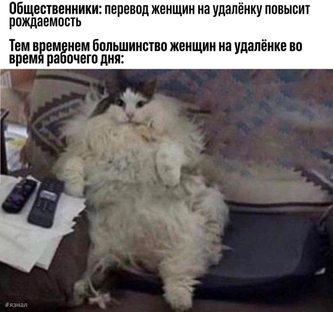 Смешные картинки и мемы