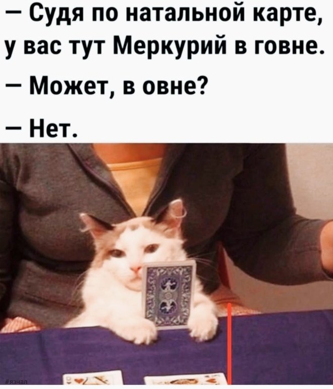 Смешные картинки и мемы