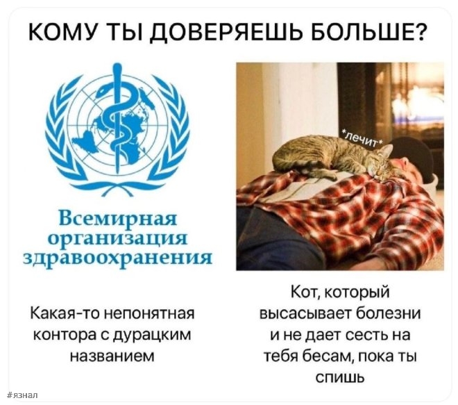 Смешные картинки и мемы